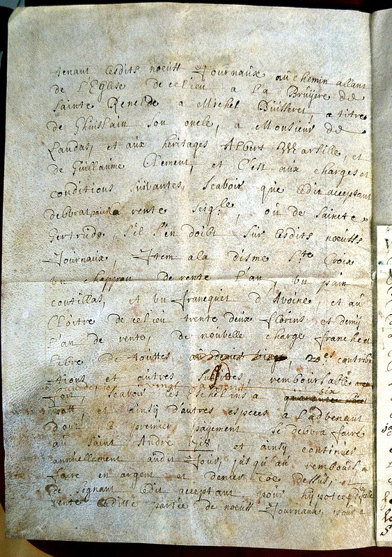 archives hospice